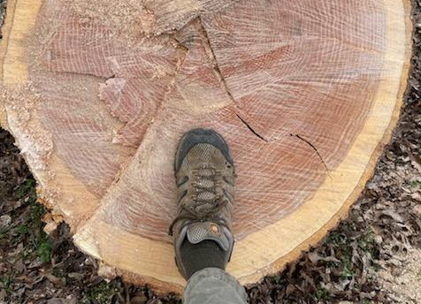 When Lumber Gets Expensive
