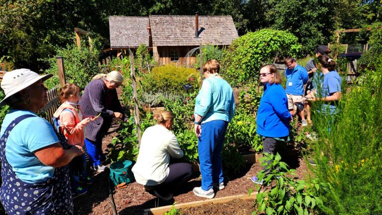 Gift-of-a-Day-image3