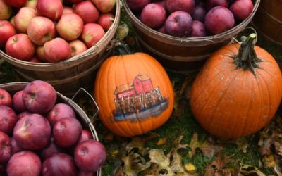 Magnalia Harvest Festival on 10/26 for NC Mountains Relief