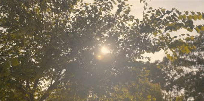 Leah + Michael Get Married