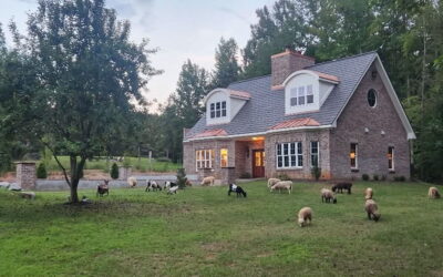 A New Year Dawning: Further Up and Further In!